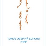 thumbnail of temee-evergvi-bolson-uchir