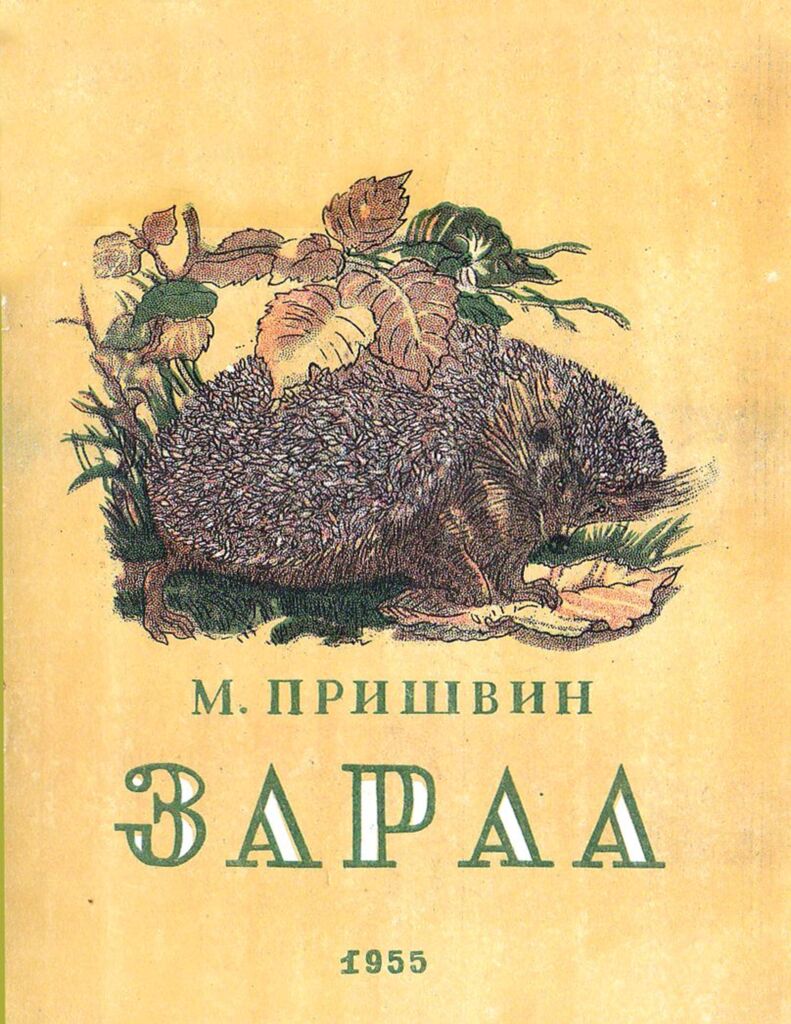 Зараа - ЦАХИМ НОМЫН САН